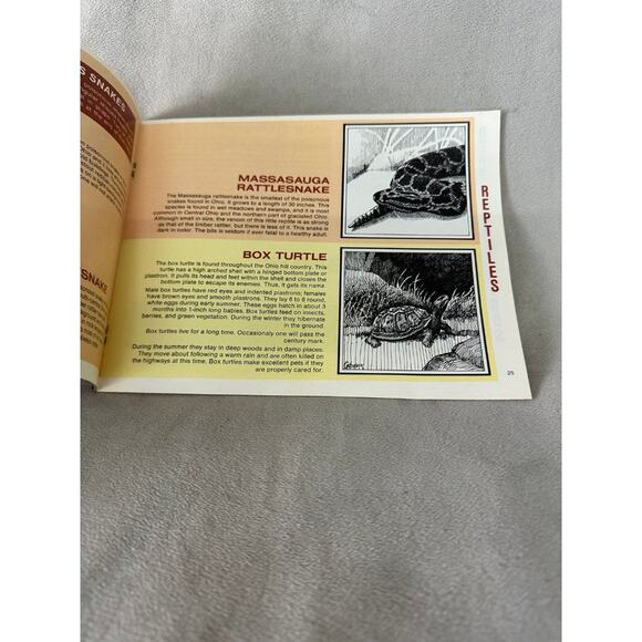 1970'S Ohio Department Natural Resources Books NATURE LORE BOOK cottagecore - Picture 4 of 7